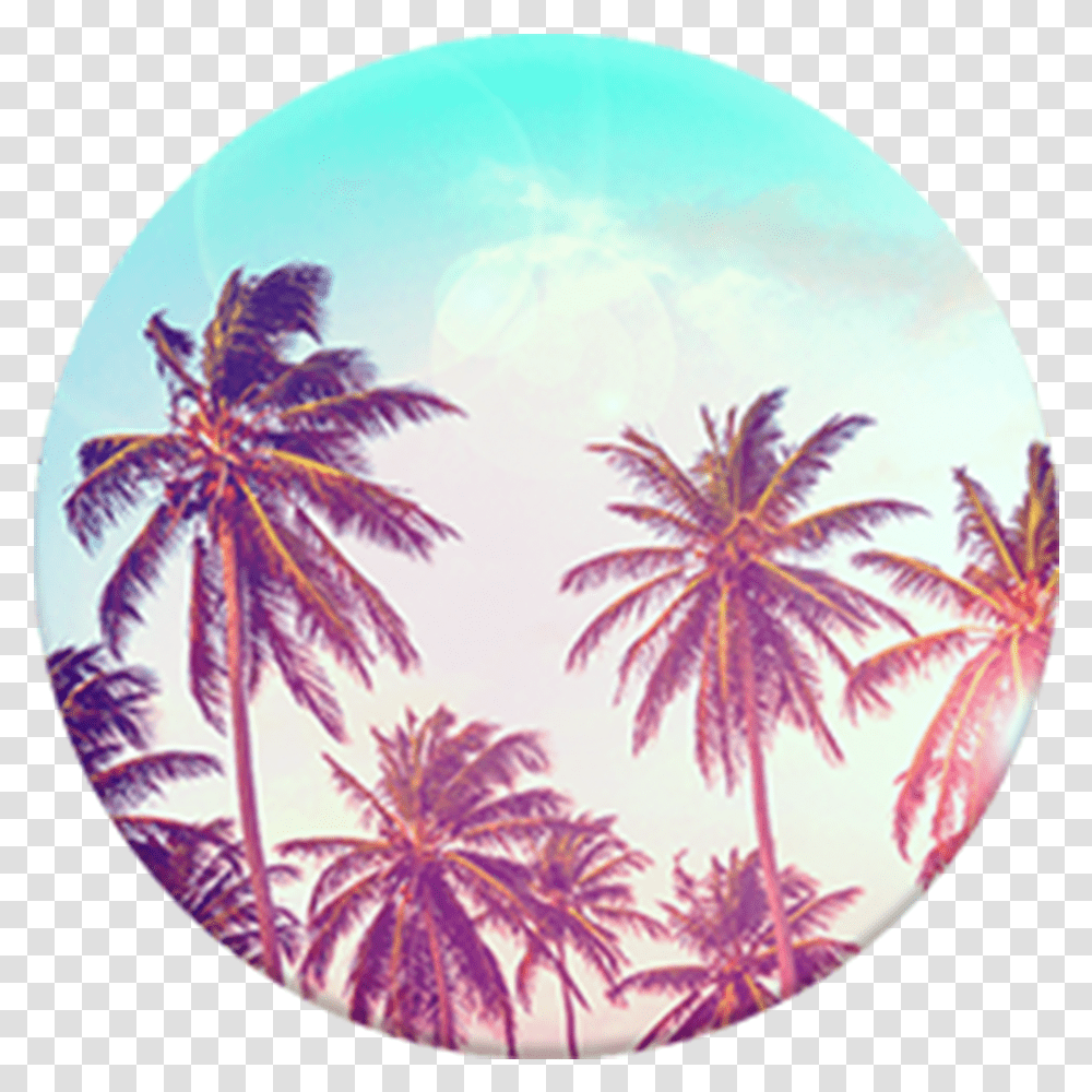 Palm Tree Popsocket, Sphere, Purple, Outdoors, Fisheye Transparent Png