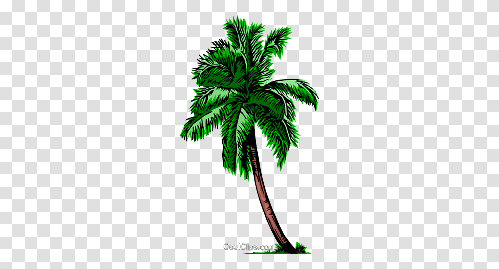 Palm Tree Royalty Free Vector Clip Art Illustration, Plant, Arecaceae, Green, Leaf Transparent Png