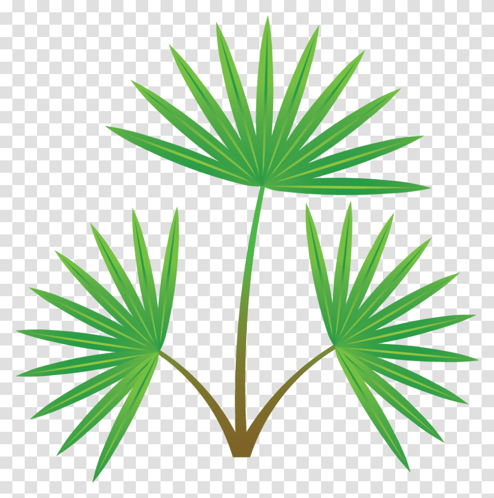 Palm Tree Section, Plant, Dill, Seasoning, Food Transparent Png