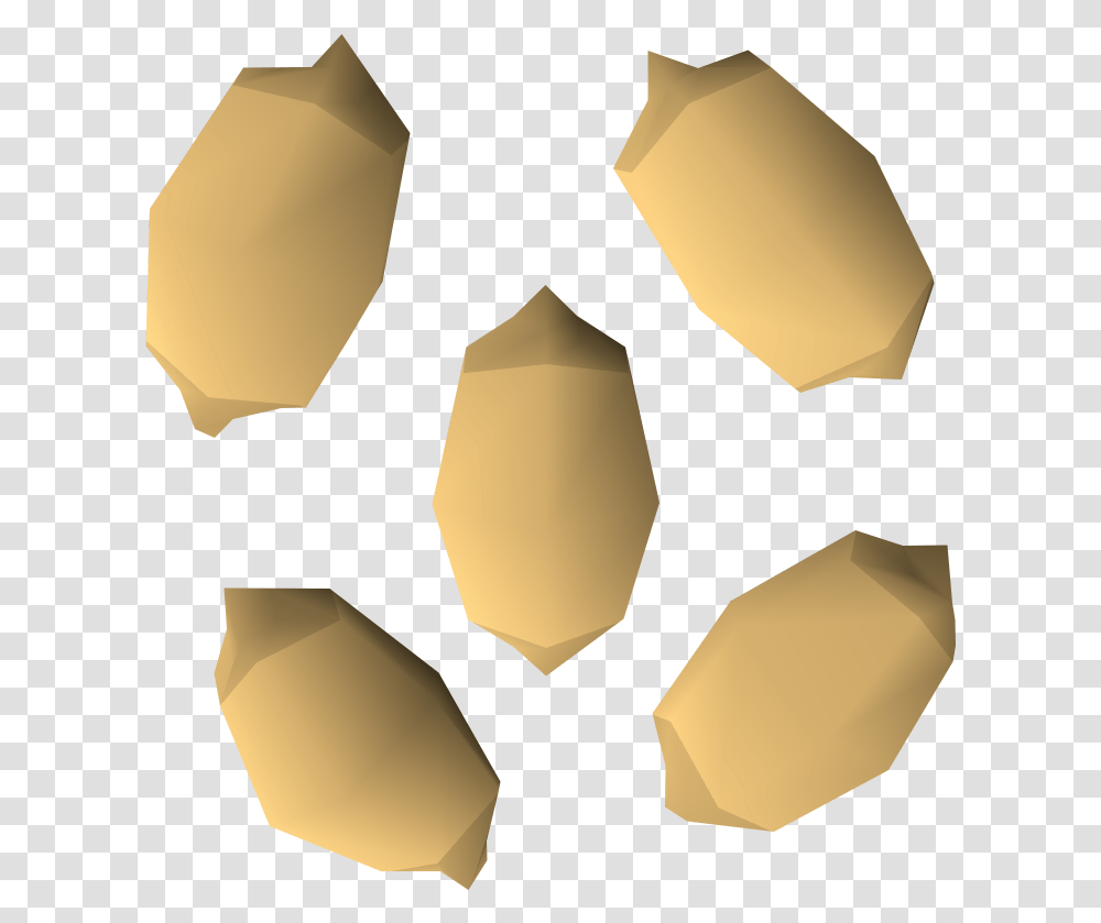 Palm Tree Seed Runescape Wiki Fandom Palm Tree Seed Osrs, Lamp, Recycling Symbol Transparent Png