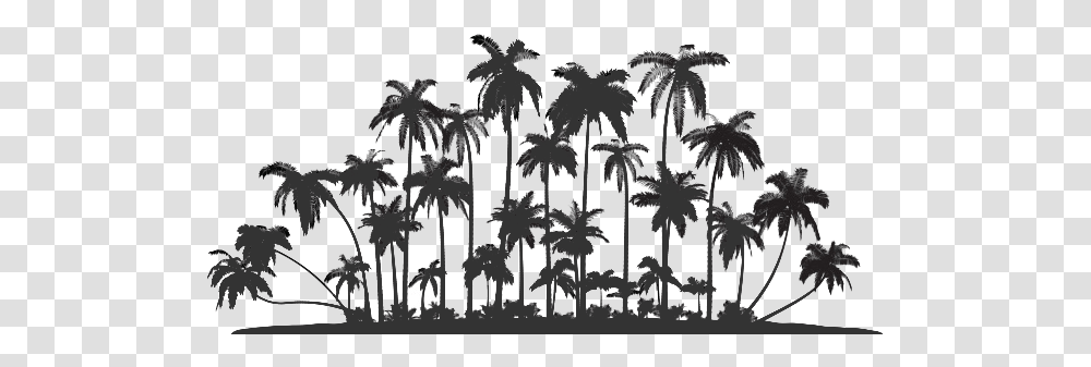 Palm Tree Service Oahu Row Of Palm Trees Silhouette, Pattern, Ornament, Chandelier, Lamp Transparent Png