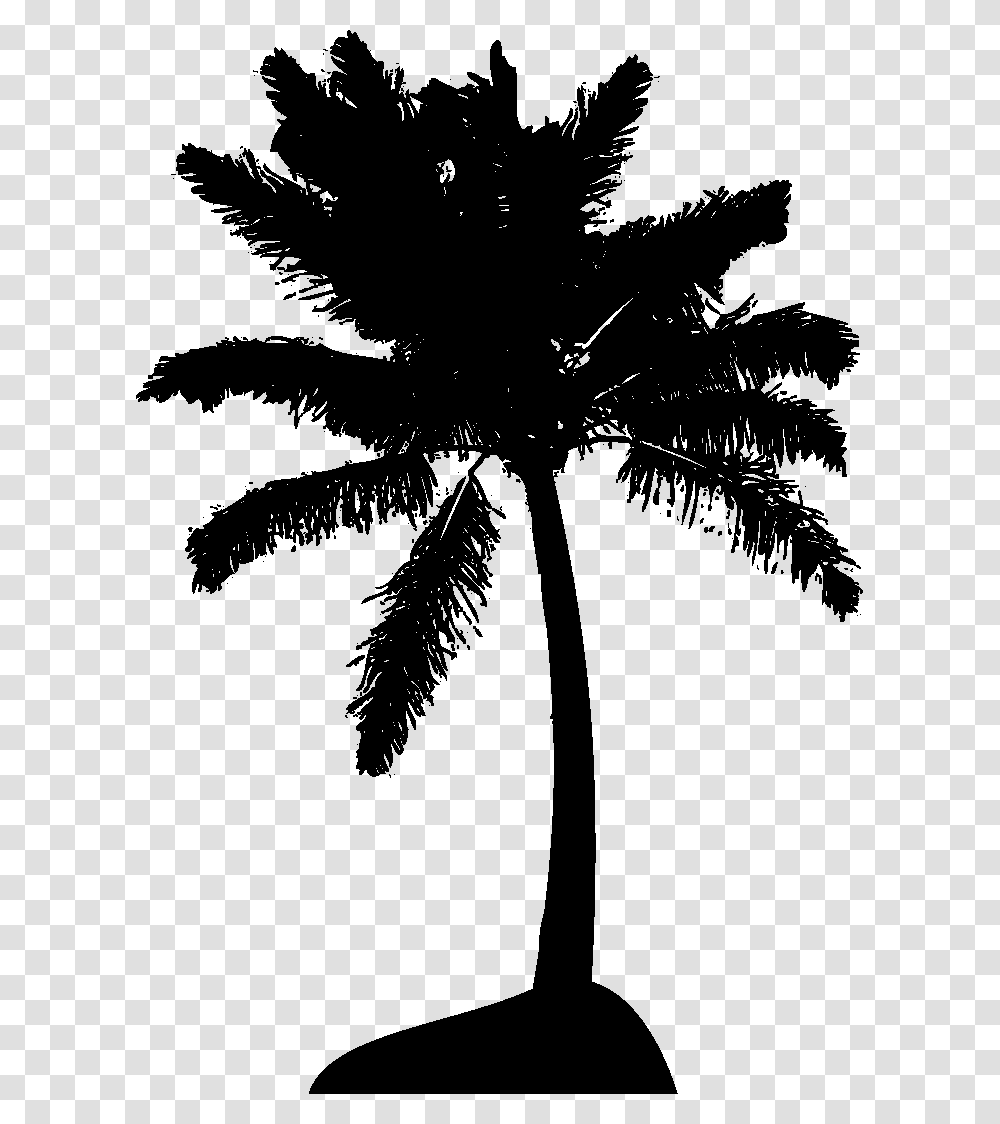 Palm Tree Set, Plant, Arecaceae Transparent Png