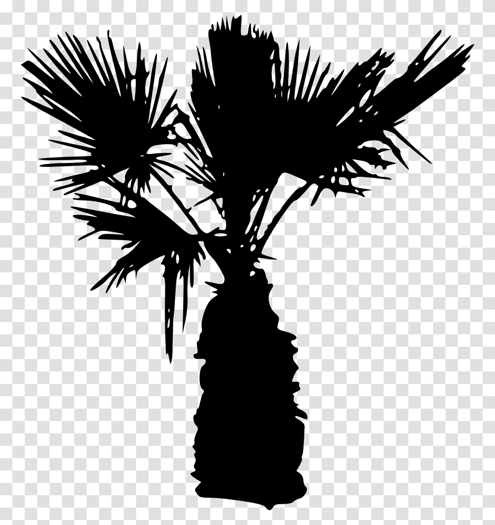 Palm Tree Silhouette Background, Plant, Arecaceae, Stencil Transparent Png