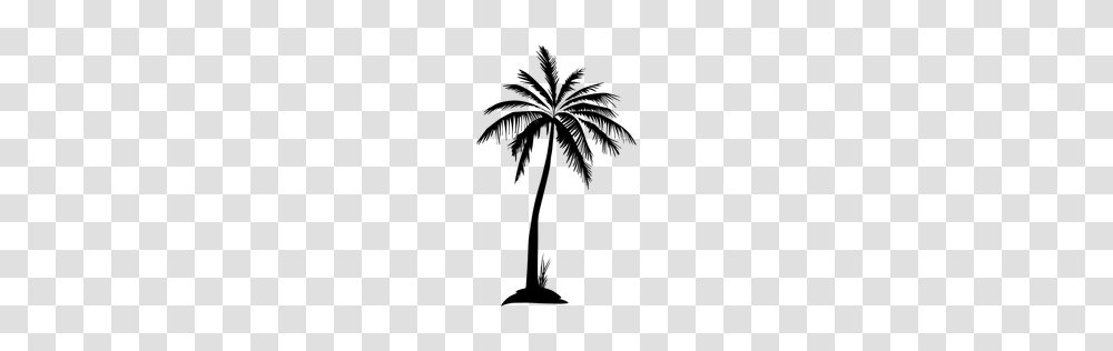 Palm Tree Silhouette Clipart Free Clipart, Gray, World Of Warcraft Transparent Png