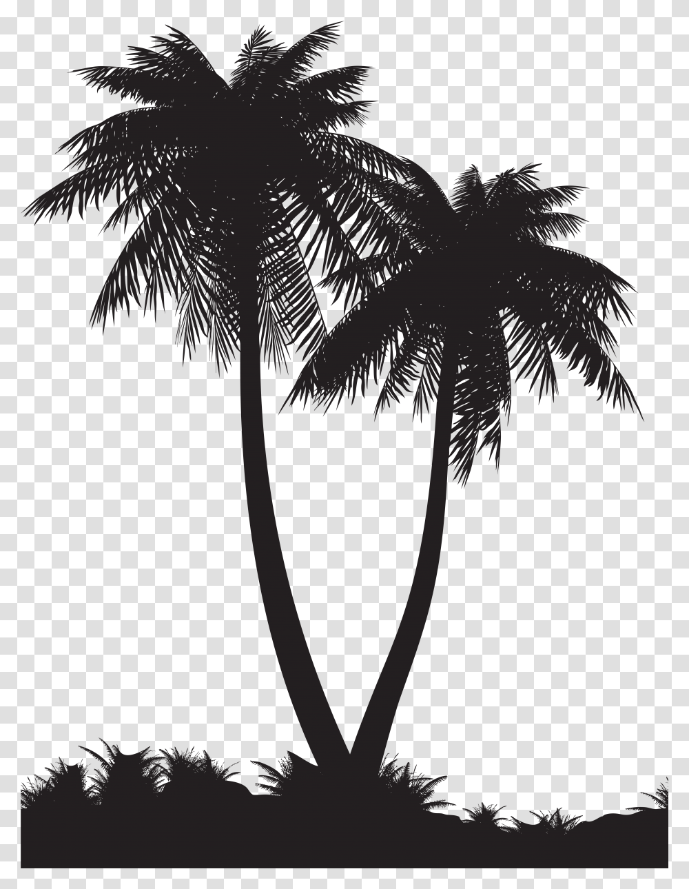 Palm Tree Silhouette Download Silhouette Of Palm Tree, Plant, Arecaceae, Flower, Blossom Transparent Png