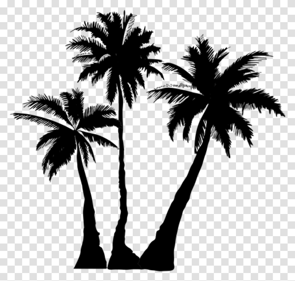 Palm Tree Silhouette, Gray, World Of Warcraft Transparent Png