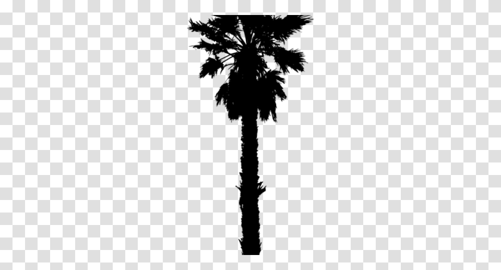 Palm Tree Silhouette, Gray, World Of Warcraft Transparent Png