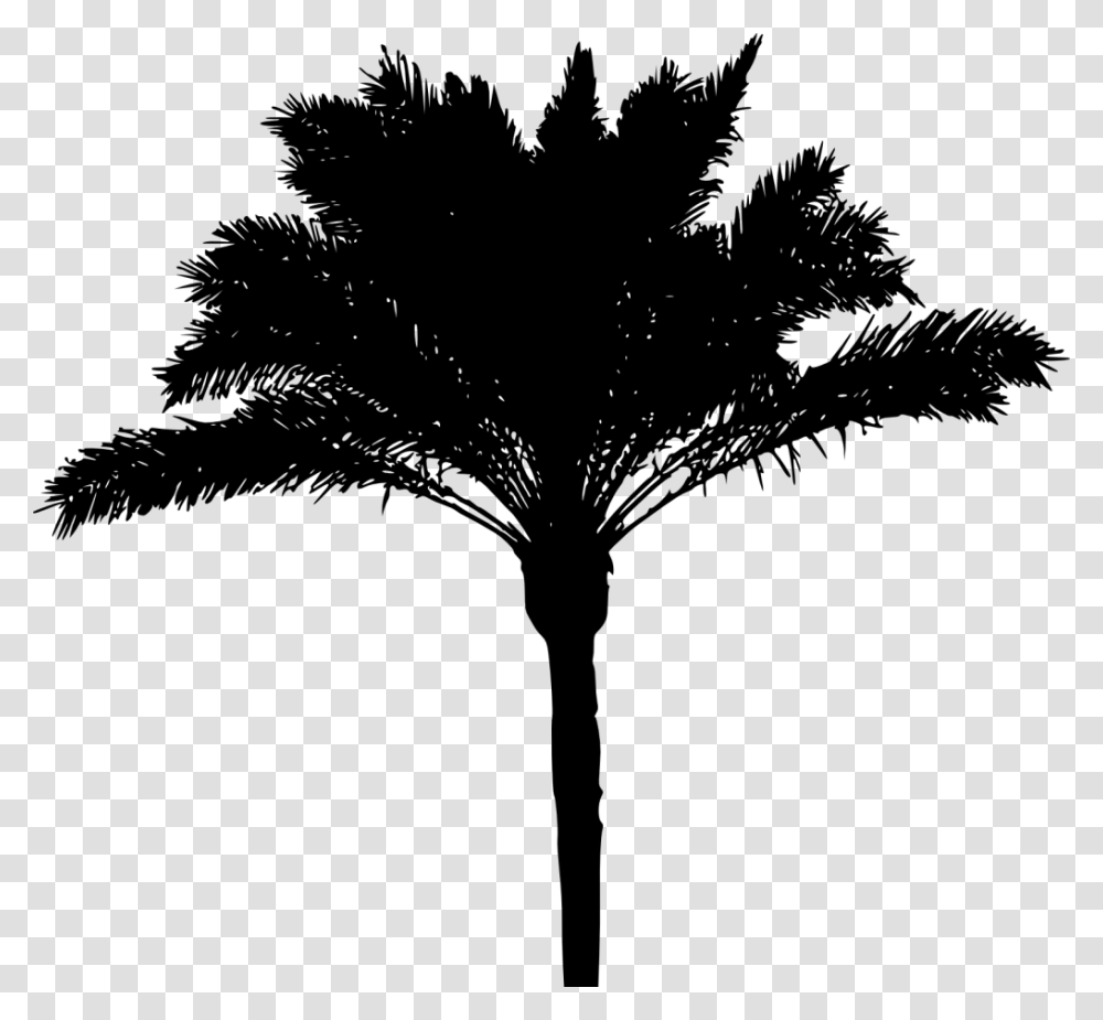 Palm Tree Silhouette, Gray, World Of Warcraft Transparent Png