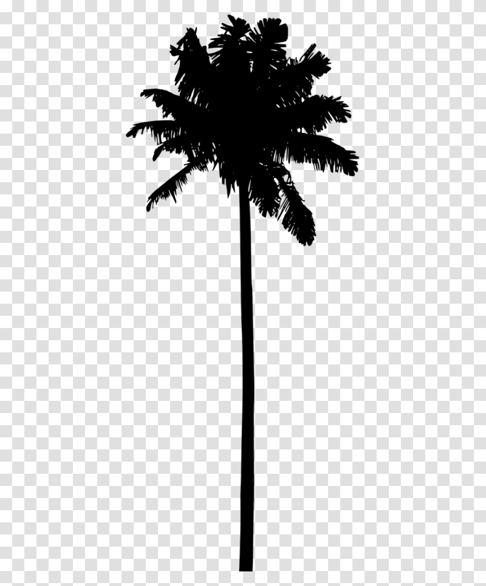 Palm Tree Silhouette Hd Palm Tree Silhouette, Plant, Lamp Post, Arecaceae, Utility Pole Transparent Png