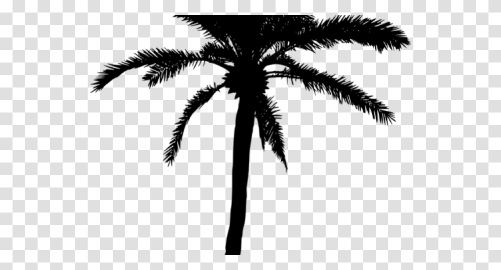 Palm Tree Silhouette Palm Tree Vector, Gray, World Of Warcraft Transparent Png