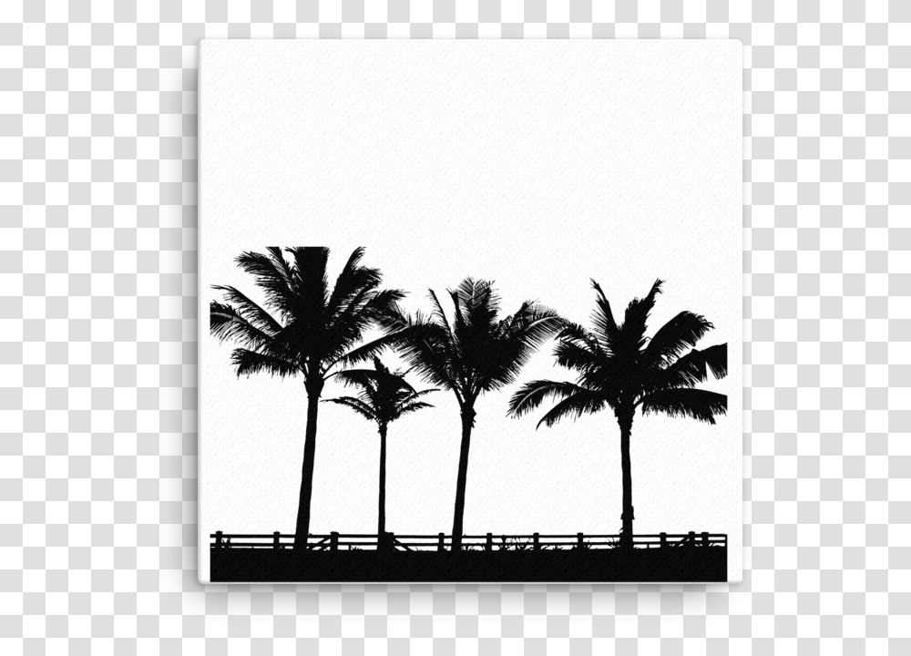 Palm Tree Silhouette Palm Treee Vector Silhouette, Plant, Arecaceae Transparent Png