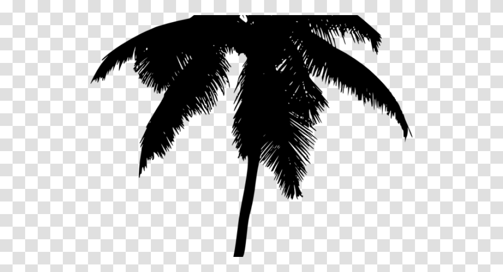 Palm Tree Silhouette Palm Trees, Gray, World Of Warcraft Transparent Png