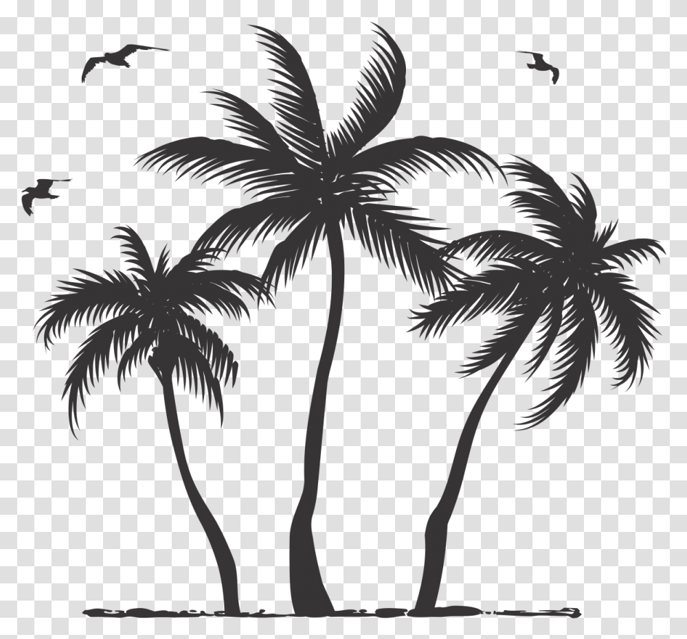 Palm Tree Silhouette, Plant, Arecaceae, Bird, Animal Transparent Png