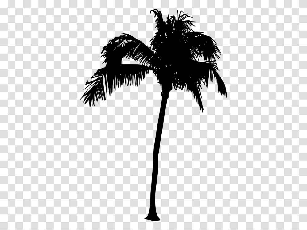 Palm Tree Silhouette, Plant, Arecaceae, Bird, Animal Transparent Png