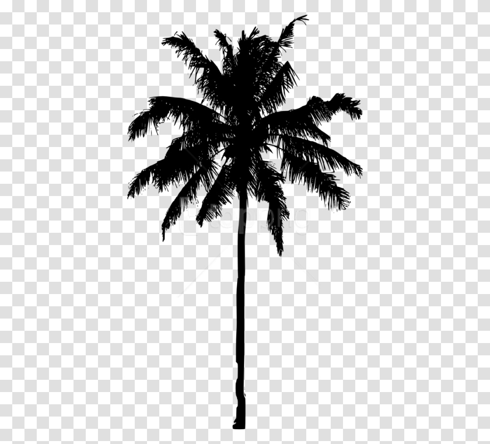 Palm Tree Silhouette, Plant, Leaf, Arecaceae Transparent Png