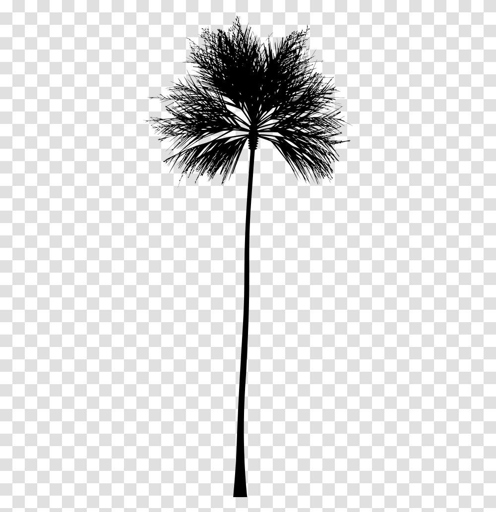 Palm Tree Silhouette Silhouette White Palm Tree, Gray, World Of Warcraft Transparent Png
