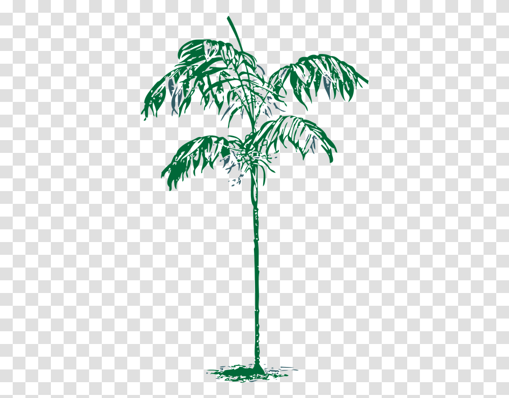 Palm Tree Sketch Palms, Plant, Arecaceae, Cross, Symbol Transparent Png