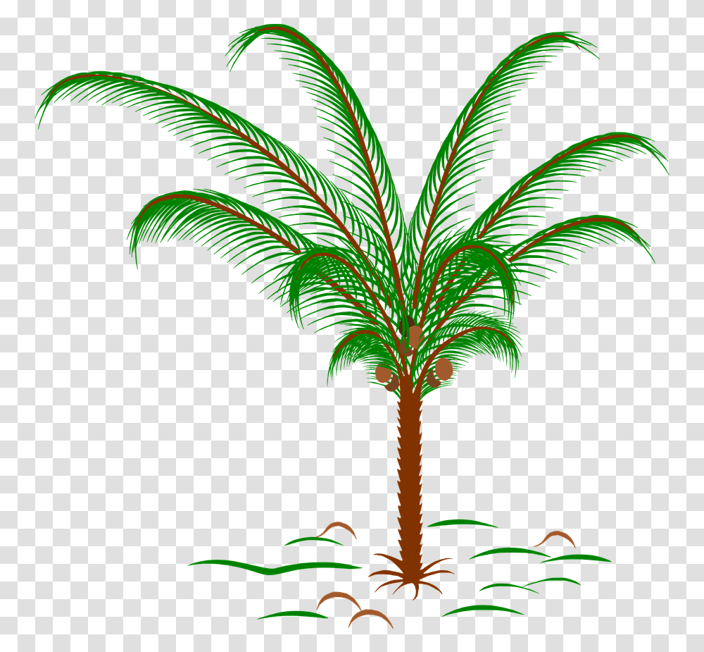 Palm Tree Snowglobe, Plant, Arecaceae, Bird, Animal Transparent Png