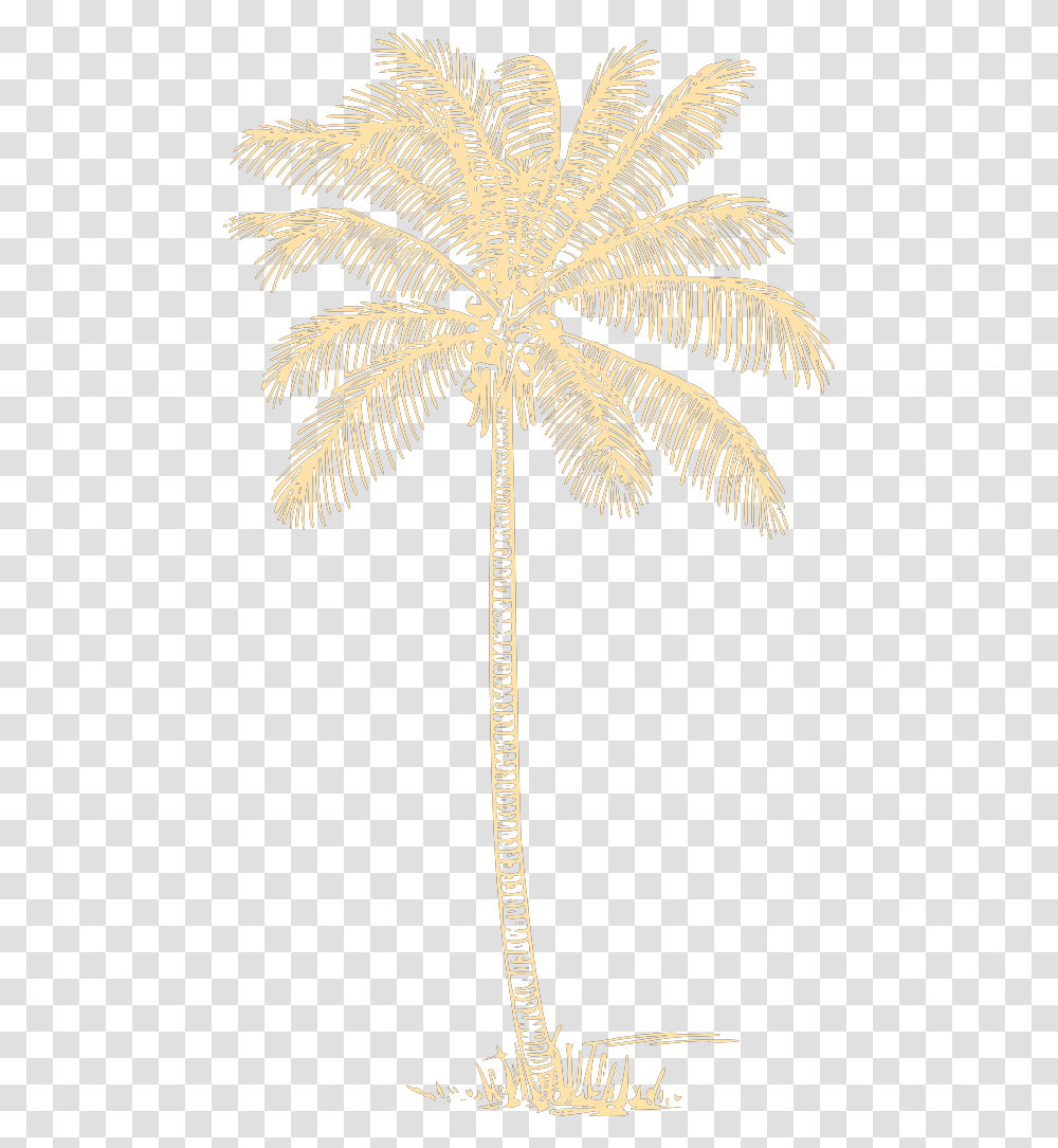 Palm Tree Svg Clip Arts Download Coconut Tree Clip Art, Bird, Plant, Symbol, Text Transparent Png