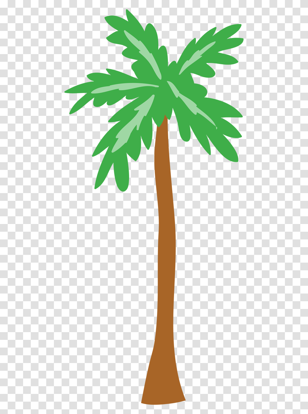 Palm Tree Svg, Plant, Arecaceae, Leaf, Fir Transparent Png