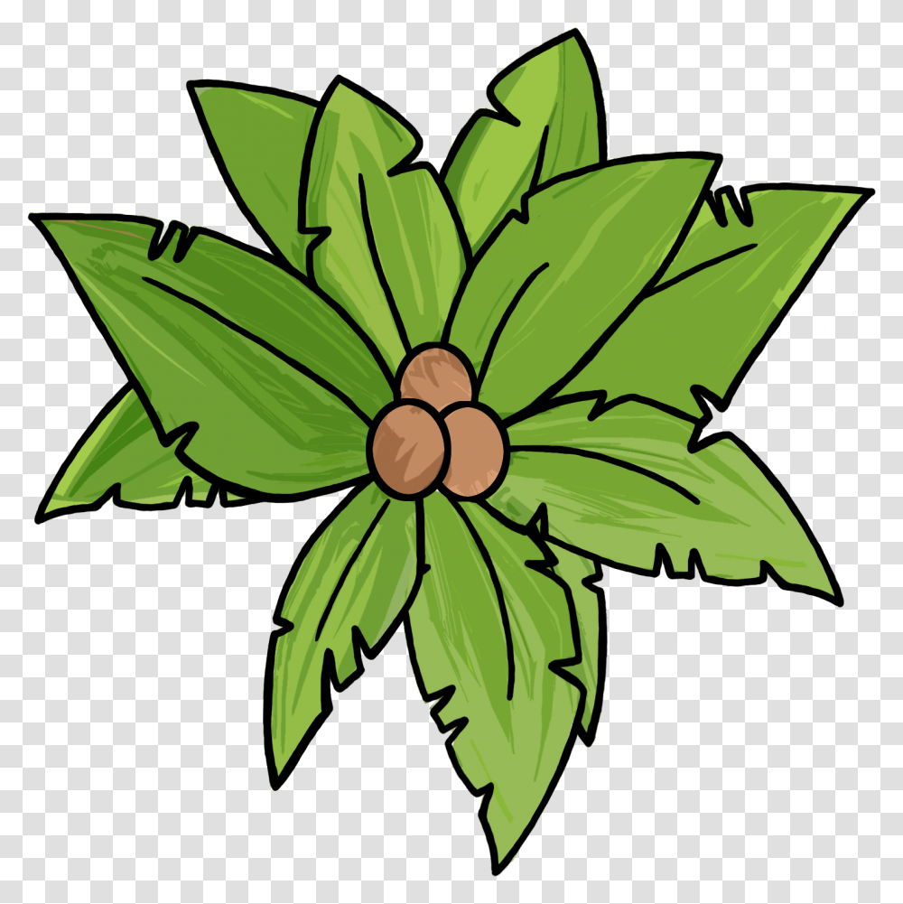 Palm Tree Top View Clip Art Hd Download Original Top Of A Palm Tree, Plant, Leaf, Green, Weed Transparent Png