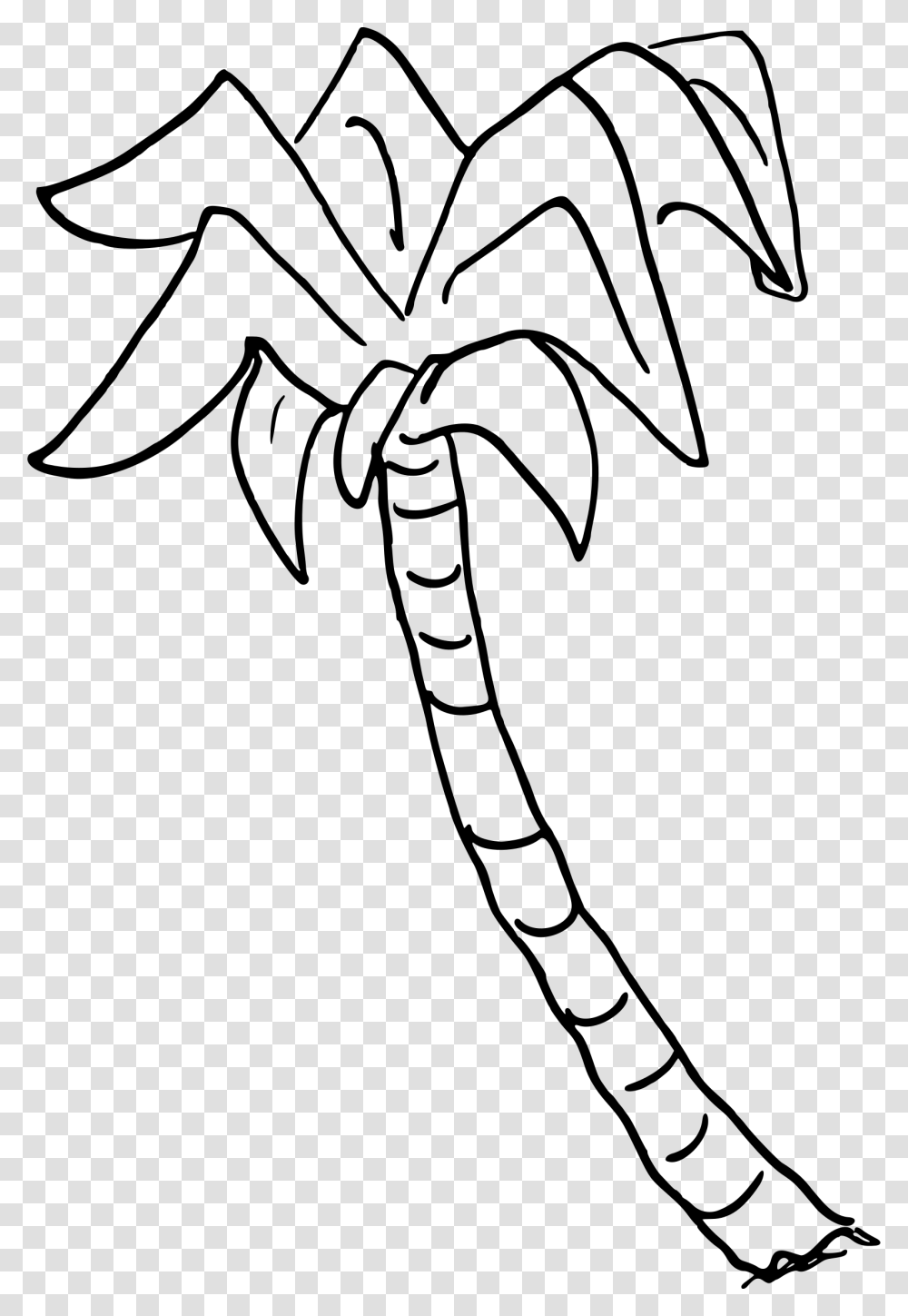 Palm Tree Top View Palm Tree Drawing, Gray, World Of Warcraft Transparent Png