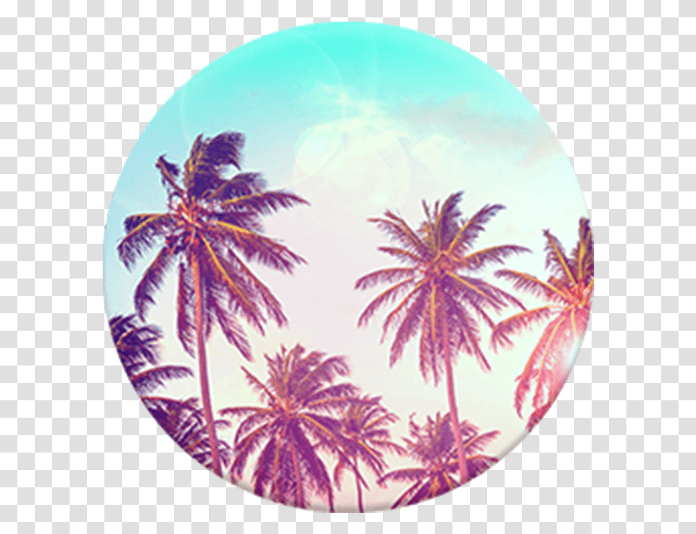 Palm Tree Top View Palm Tree Popsocket, Sphere, Purple, Plant, Outdoors Transparent Png