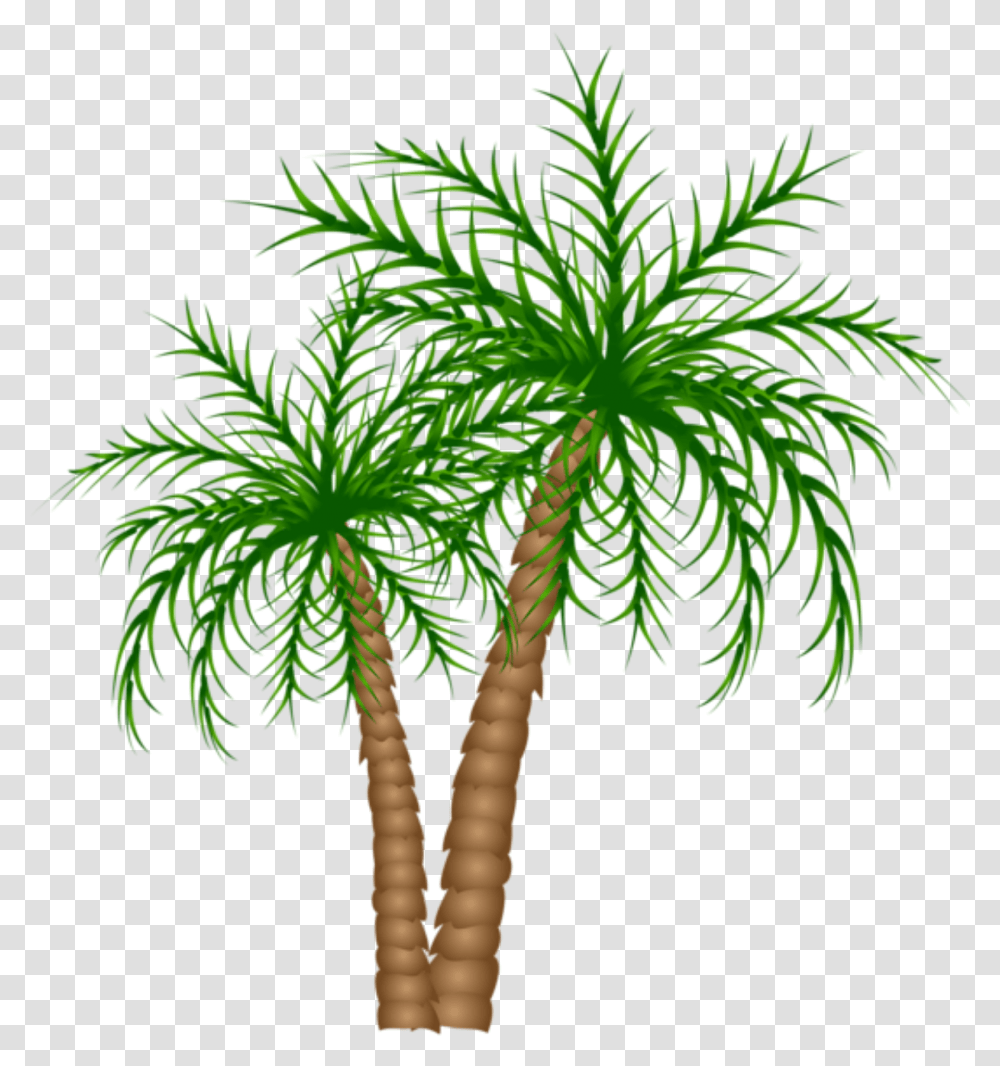 Palm Tree Trees Picture Branches Date Tree Clipart, Plant, Arecaceae, Green Transparent Png