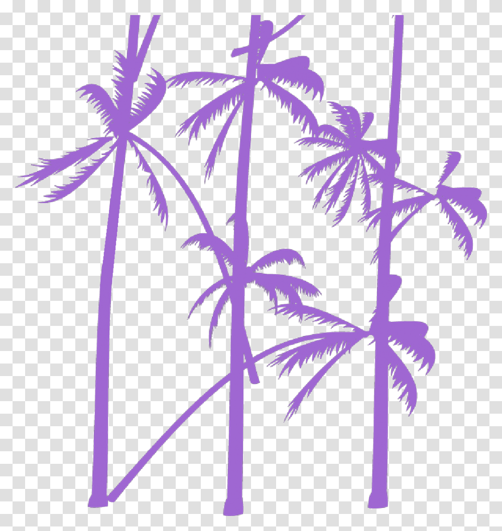 Palm Tree Vector Attalea Speciosa, Plant, Flower, Blossom, Pattern Transparent Png