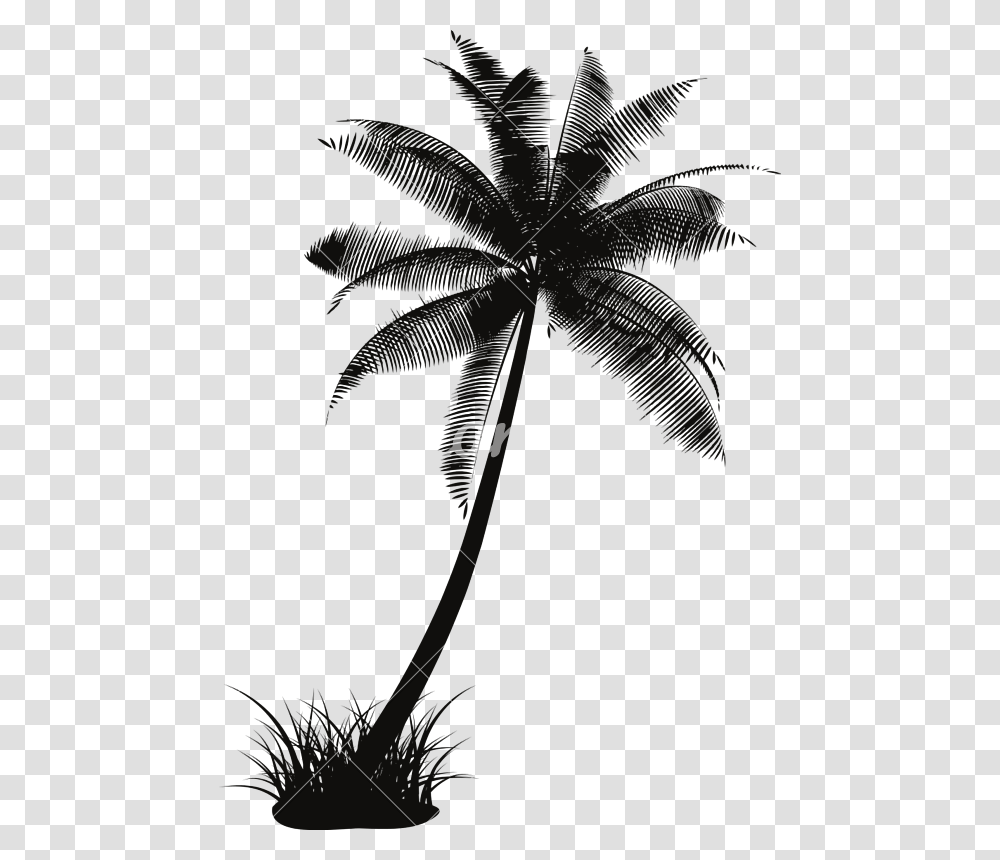 Palm Tree Vector Coconut Tree Silhouette Vector, Plant Transparent Png