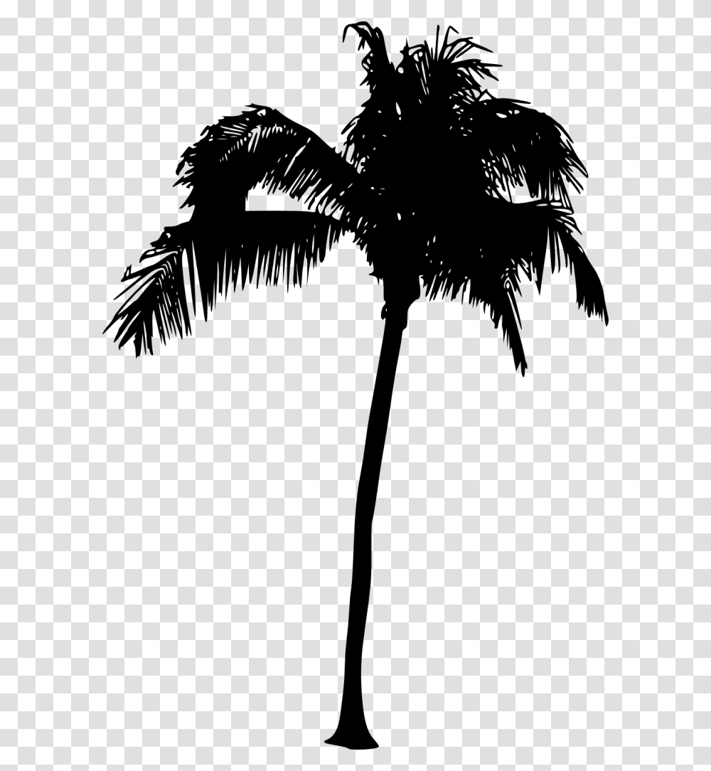 Palm Tree Vector, Gray, World Of Warcraft Transparent Png