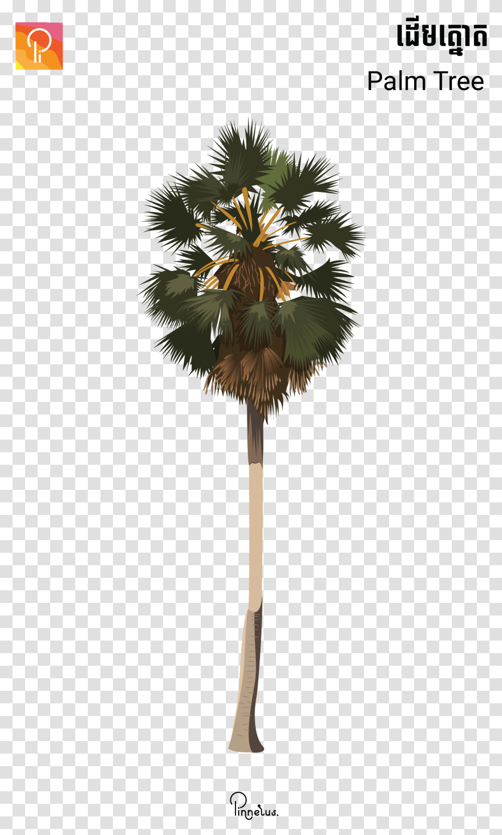 Palm Tree Vector Khmer Palm Tree, Lamp, Lampshade, Plant, Table Lamp Transparent Png