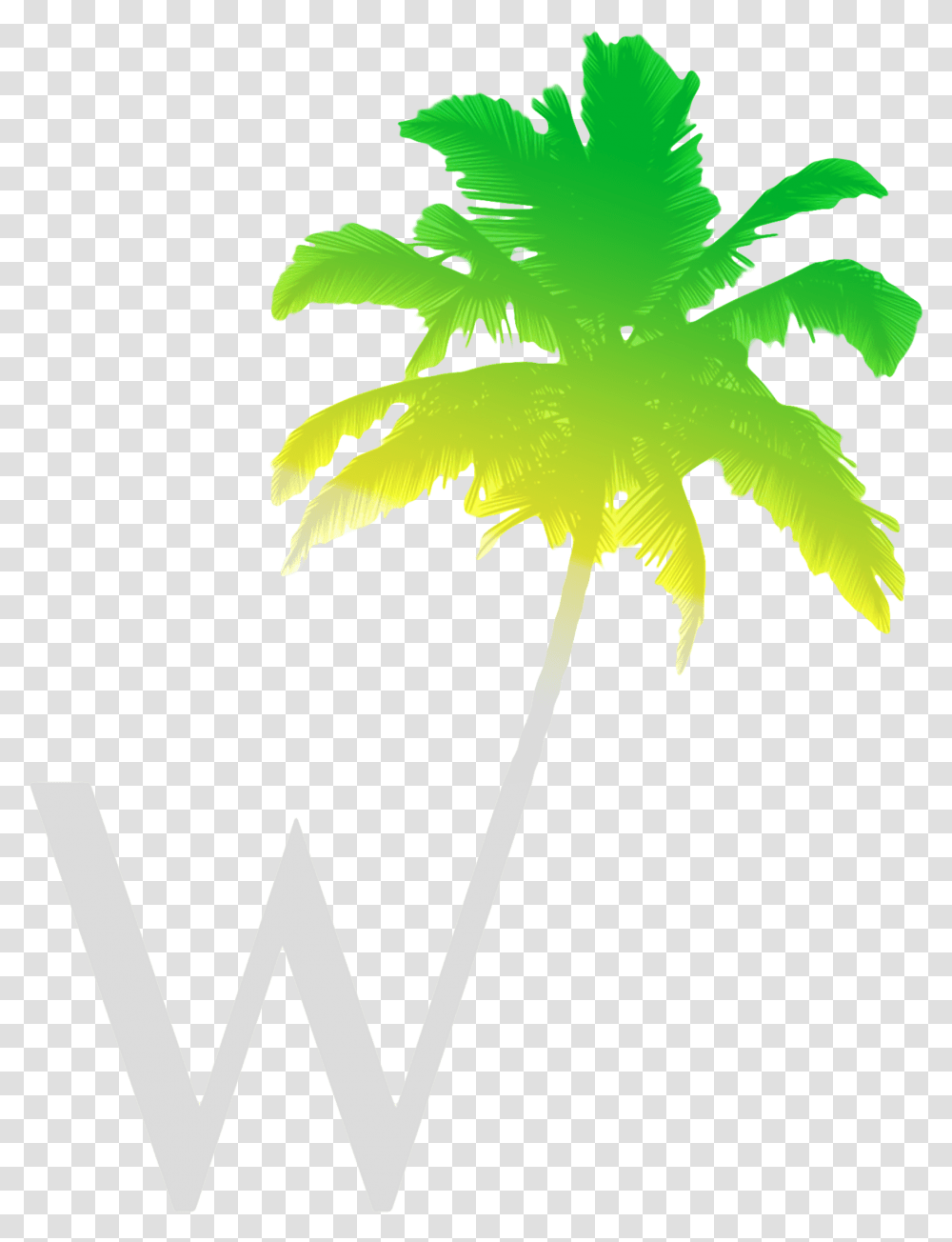 Palm Tree Vector, Leaf, Plant, Maple Leaf, Moss Transparent Png