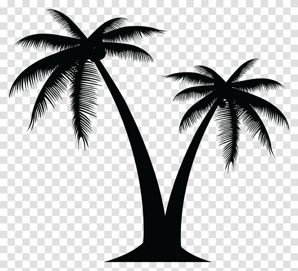 Palm Tree Vector, Nature, Outdoors, Lighting, Plant Transparent Png