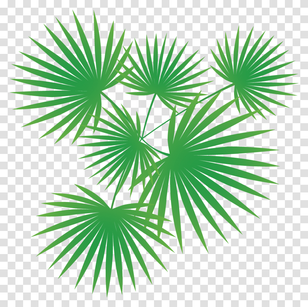Palm Tree Vector Palm Trees Vector, Green, Nature, Outdoors, Vegetation Transparent Png