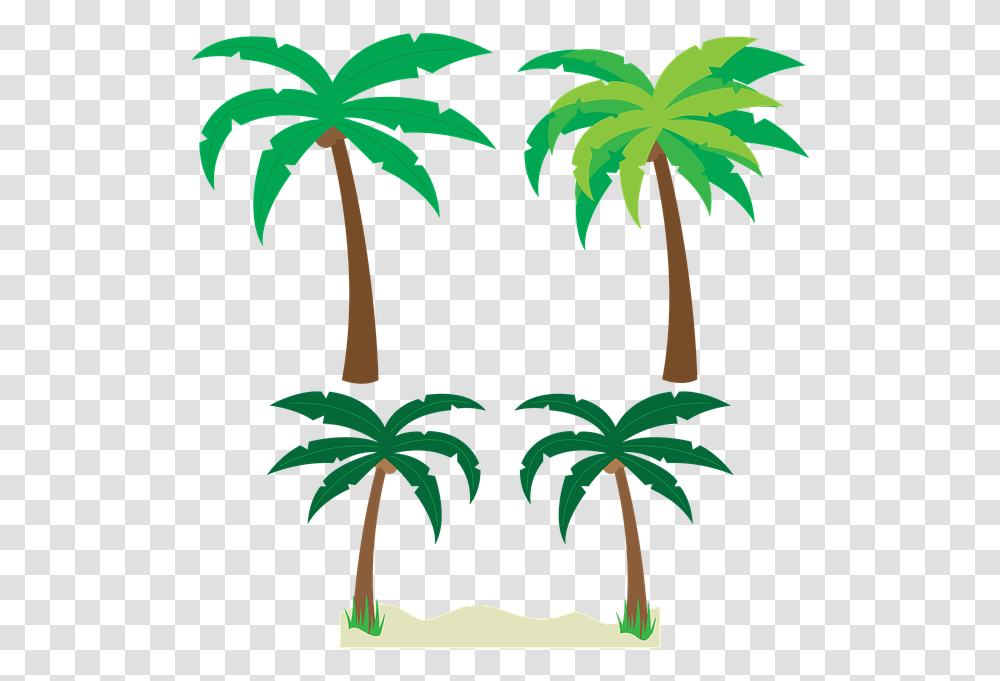 Palm Tree Vector, Plant, Arecaceae, Leaf, Painting Transparent Png