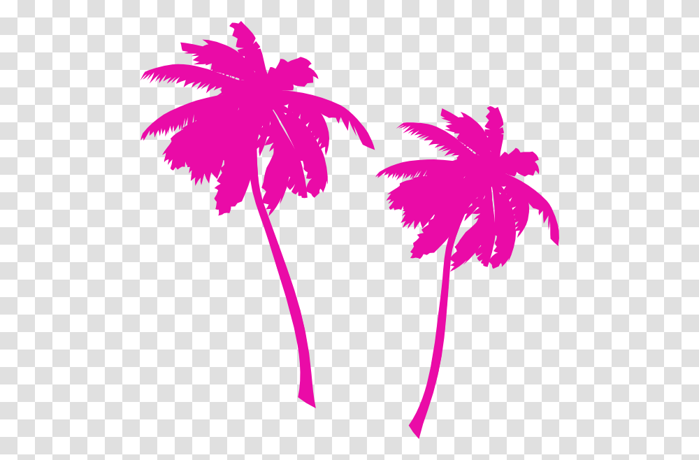 Palm Tree Vector, Plant, Hibiscus, Flower Transparent Png