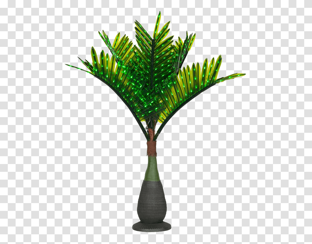 Palm Tree With Lights, Green, Plant, Arecaceae, Leaf Transparent Png