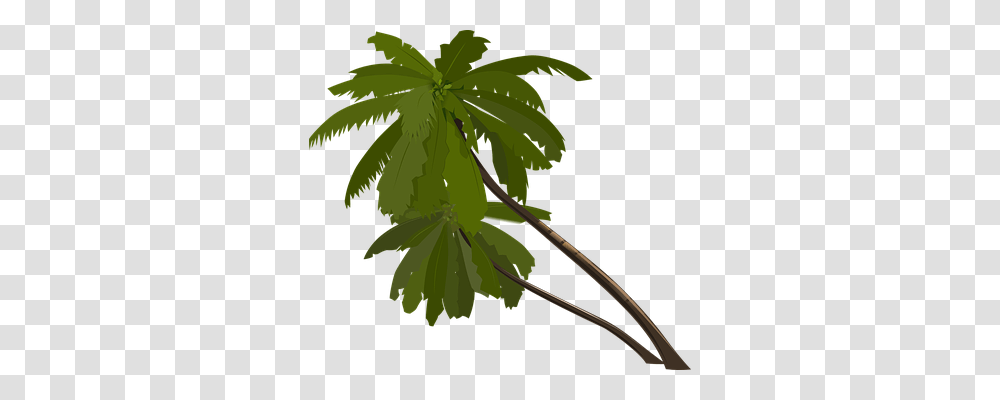 Palm Trees Nature, Plant, Leaf, Bow Transparent Png