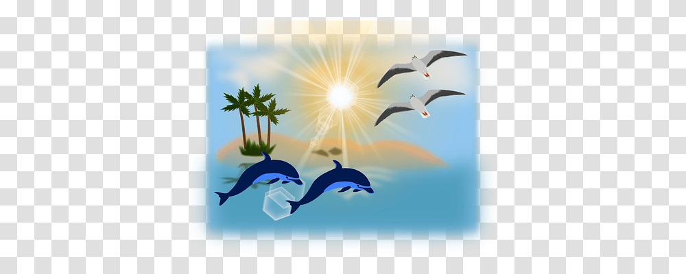 Palm Trees Holiday, Bird, Animal, Flying Transparent Png