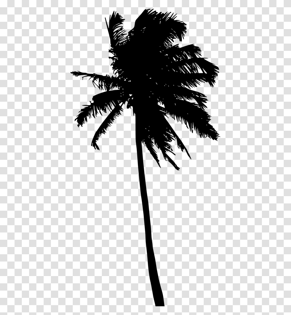Palm Trees Clip Art Silhouette Palm Tree, Plant, Arecaceae Transparent Png