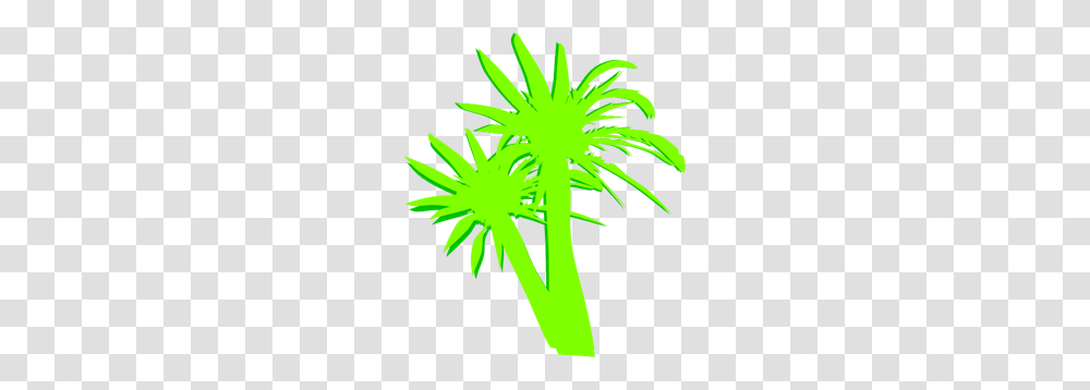 Palm Trees Clip Arts For Web, Plant, Green, Arecaceae, Vegetation Transparent Png