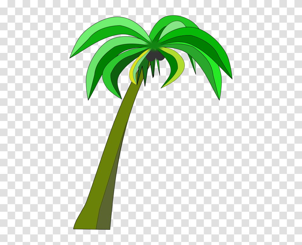 Palm Trees Coconut Can Stock Photo Drawing, Plant, Arecaceae, Axe, Tool Transparent Png