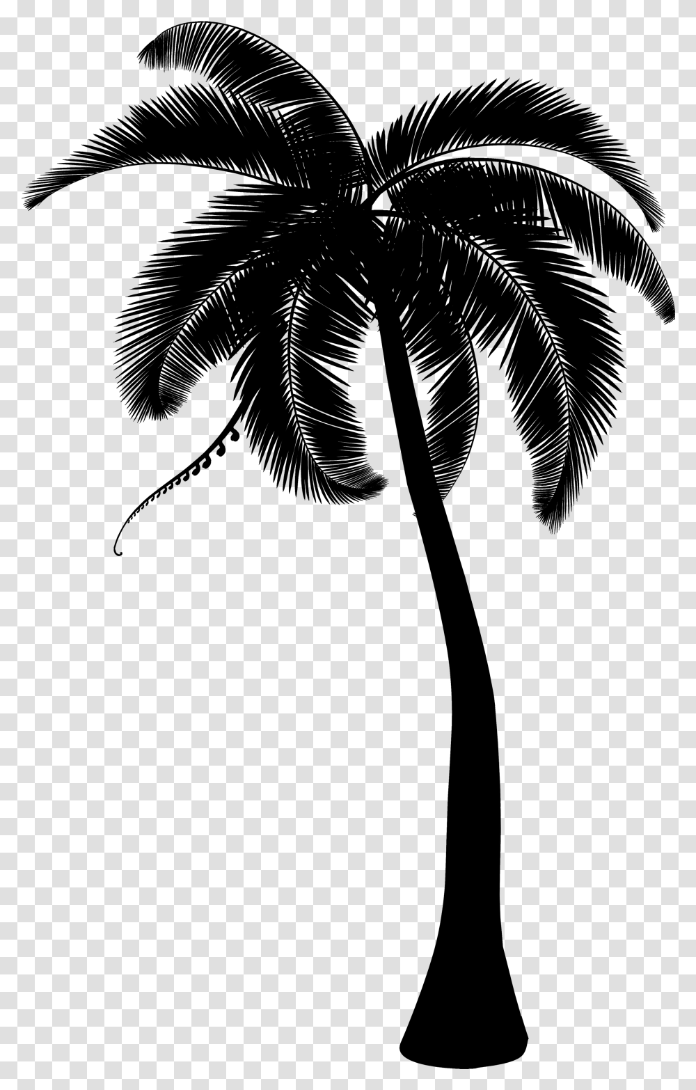 Palm Trees Coconut Clip Art Portable Network Graphics Palm Tree Clipart Line, Gray, World Of Warcraft Transparent Png