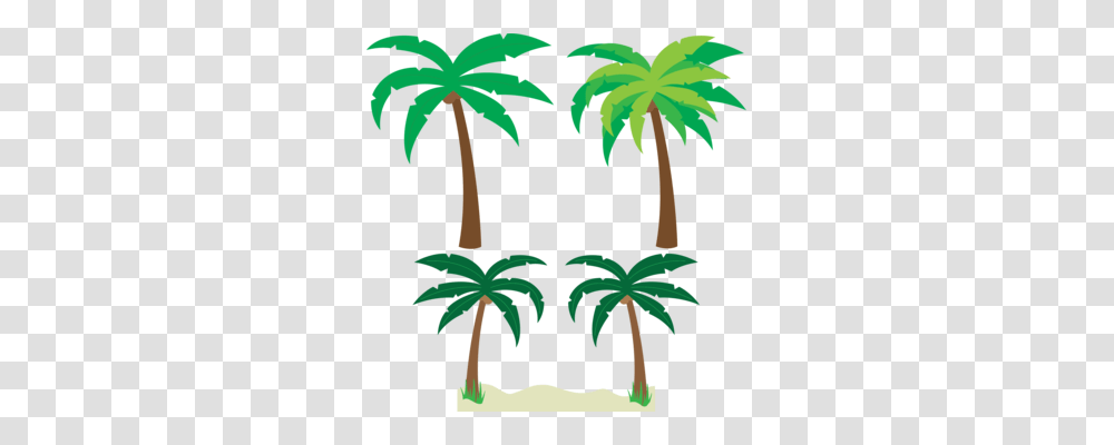 Palm Trees Coconut Fruit Download, Plant, Arecaceae, Painting Transparent Png