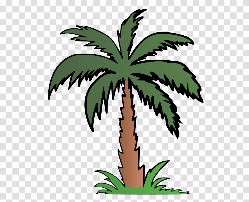 Palm Trees Computer Icons Diagram Information, Plant, Arecaceae Transparent Png