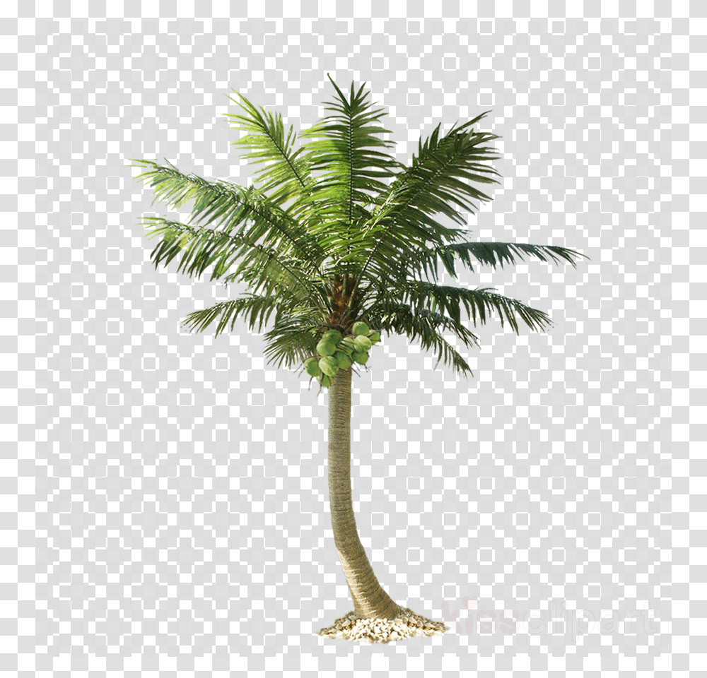 Palm Trees Cut Out, Plant, Arecaceae, Fern, Texture Transparent Png