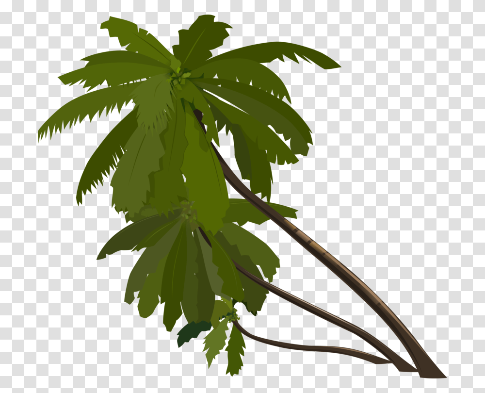 Palm Trees Drawing Download Computer Icons Coconut, Leaf, Plant, Maple, Oak Transparent Png