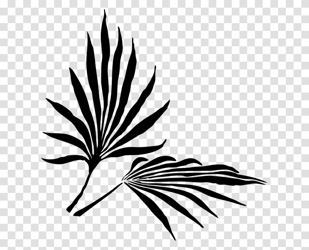 Palm Trees Frond Leaf Palm Branch Silhouette, Gray, World Of Warcraft Transparent Png