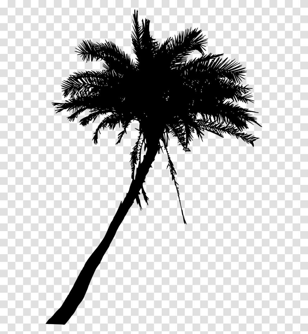 Palm Trees, Gray, World Of Warcraft Transparent Png
